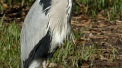 2009_DSC_0002