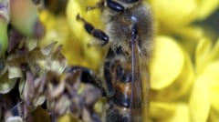 bi_DSC_0483