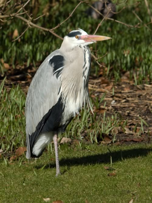 2009_DSC_0002