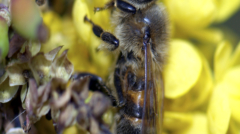 bi_DSC_0483