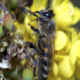 bi_DSC_0483